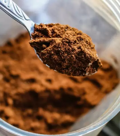cacao-cocoa-scaled