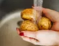 papa
