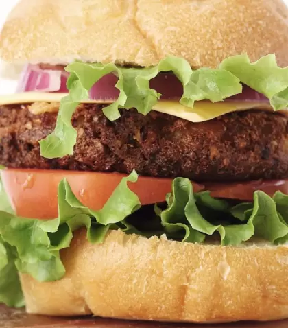 burger_t20_pxlO1d