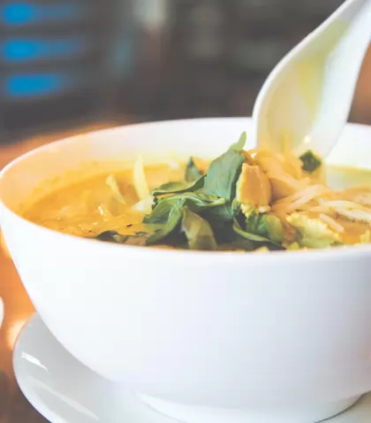 vietnamese-curry-chicken-pho_t20_z9GreP