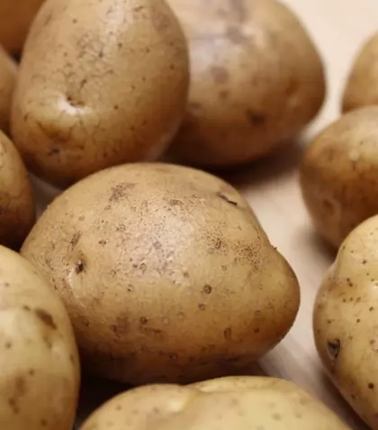 Descubre los beneficios de la papa y c�mo incorporarla en una alimentaci�n saludable.
