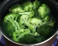 Descubre los beneficios del br�coli y c�mo incorporarlo en tu alimentaci�n diaria.