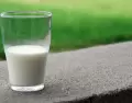 Descubre los beneficios de la leche y c�mo aprovechar sus nutrientes en tu alimentaci�n diaria.