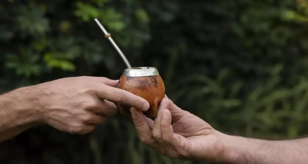 delicious-terere-drink-still-life-scaled