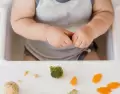 Alimentacion complementaria