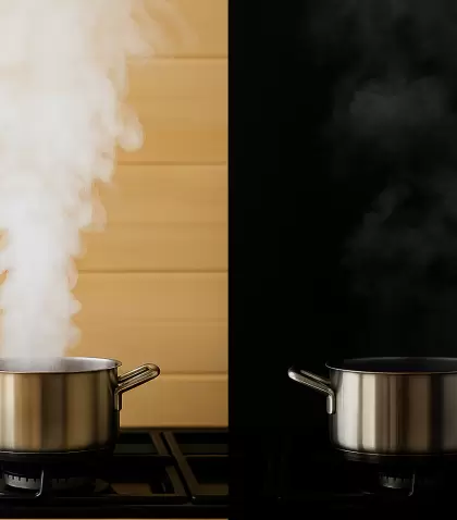 Comparaci�n visual entre humo blanco y humo negro: lo que te advierten tus utensilios al cocinar.