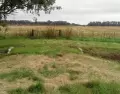 El encanto rural de Carmen de Areco invita a disfrutar la tradici�n y los sabores del campo argentino.