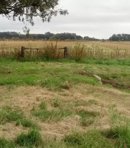 El encanto rural de Carmen de Areco invita a disfrutar la tradici�n y los sabores del campo argentino.