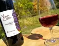 Tierra de Vino y Cultura, el evento que re�ne bodegas, arte y gastronom�a en la Casa de Culturas de Berisso.