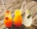 Bebidas fr�as caseras ideales para el verano