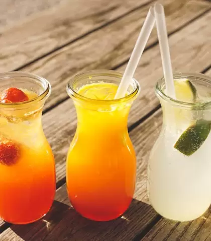 Bebidas fr�as caseras ideales para el verano