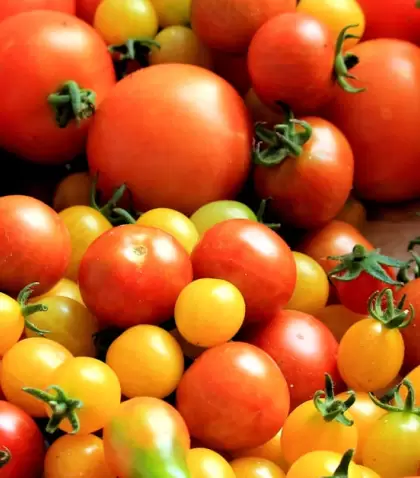 Ensalada de tomate simple y bien argentina