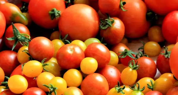 Ensalada de tomate simple y bien argentina