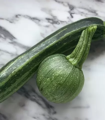El zapallito se freeza mejor con cocci�n previa.