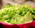 Trucos para conservar la lechuga fresca.