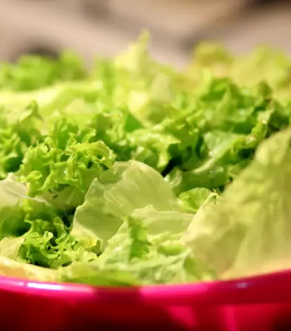 Trucos para conservar la lechuga fresca.