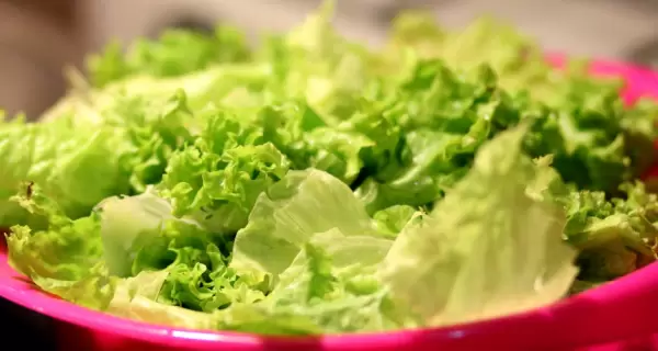 Trucos para conservar la lechuga fresca.