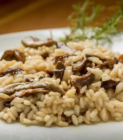 Platos caseros con inspiraci�n gourmet.