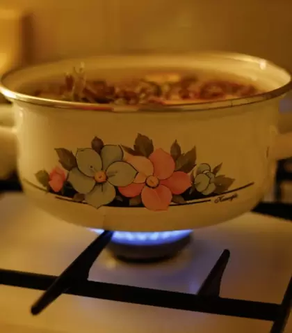 Guisos, sopas y platos caseros pr�cticos y reconfortantes.