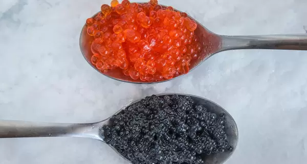 Tres recetas gourmet con caviar para servir como entrada en celebraciones y ocasiones especiales.