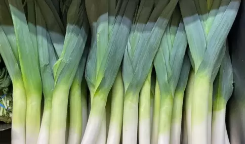 Una receta perfecta para el fr�o: simple, casera y rendidora.